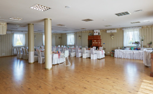 Sala Kominkowa #2
