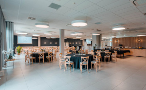 Sala konferencyjno-balowa duża #3