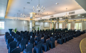 Sala Bursztynowa #1