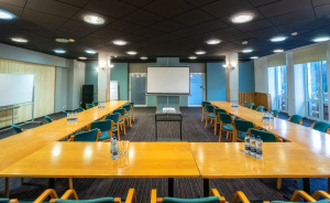 Sala konferencyjna BIEŃKULA #1