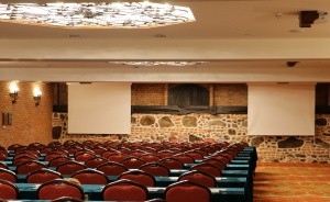 Sala Króla Władysława Jagiełły #5