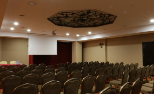 Sala Księżnej Anny #6
