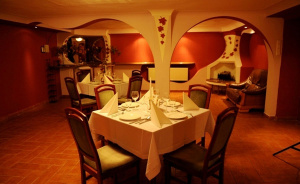 Sala Kominkowa VIP #6