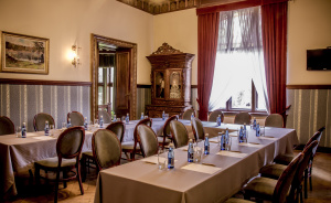 Sala niebieska w historycznych częściach Pałacu Hardta #6