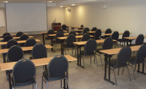 Sala Biznes #1