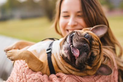 Program Pets Friendly gwarantem komfortowego pobytu czworonogów i ich właścicieli w hotelu