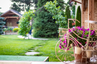 Wellness&Spa W krainie Alicji Nałęczów