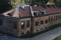Szarotka