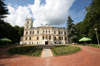 Zamek Biedrusko